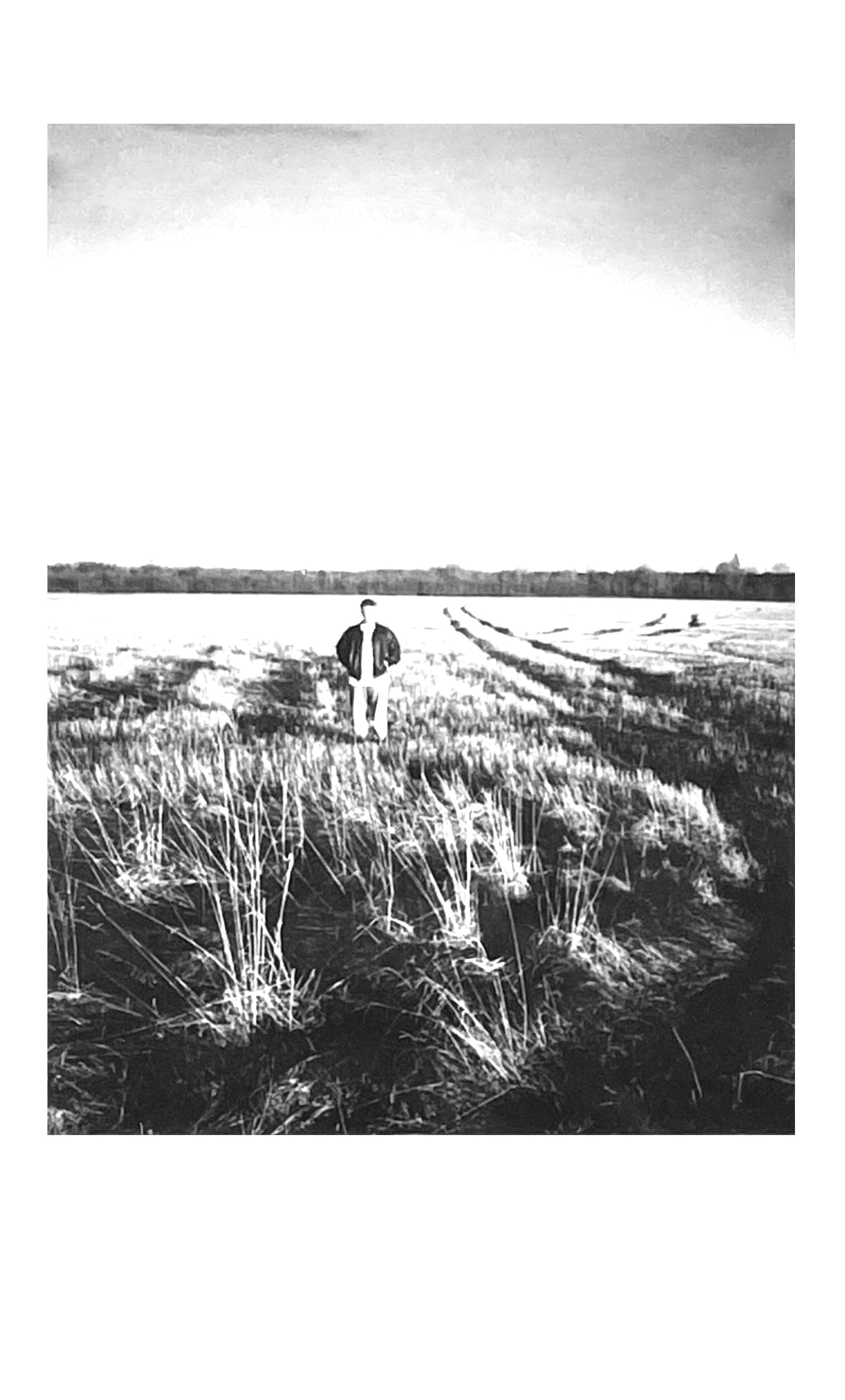 In the field